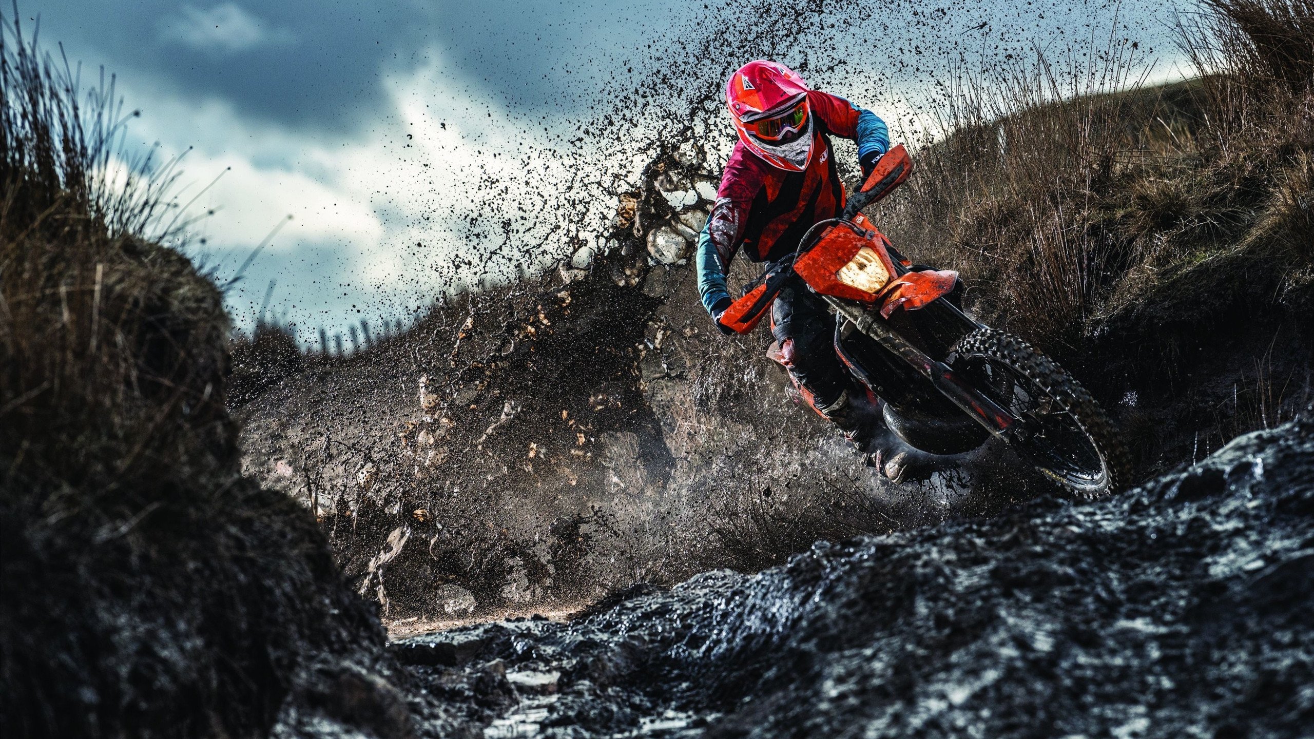 马赛爆冷阿尔及利亚，足球如何缝合破碎的认同